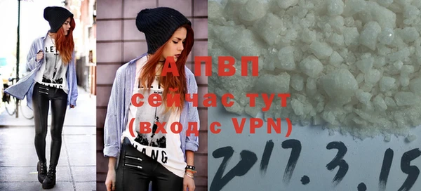 ПСИЛОЦИБИНОВЫЕ ГРИБЫ Верея